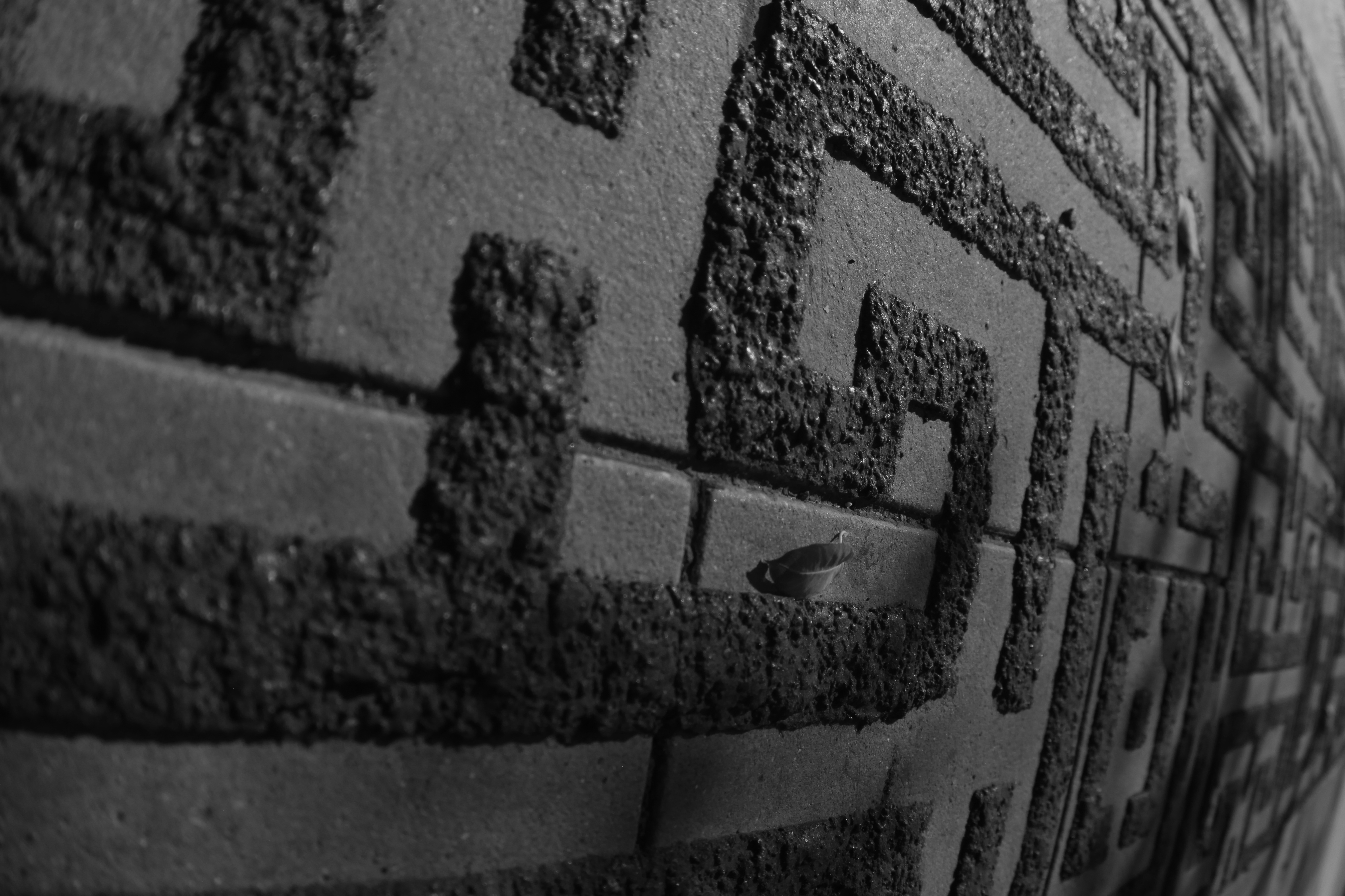 Black & White Photograph #2